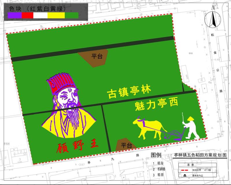 尊龙z6十月稻香飘，上海发布《顾野王》